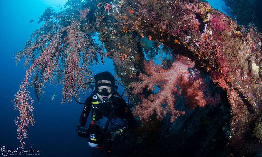 Scuba diver with underwater photography camera exploring Tulamben's USAT Liberty Wreck