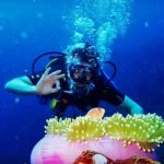 Diver with Fish Anemone Tulamben Bali Drop Off