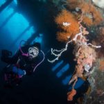 A scuba diver explores the Liberty Wreck in Tulamben, Bali