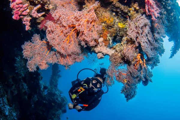 Scuba diver exploring the Liberty Wreck in Tulamben, Bali