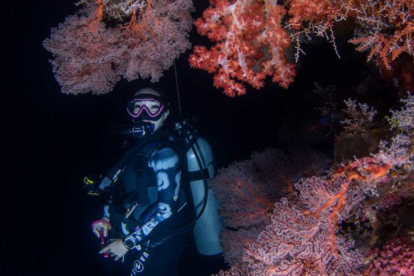 Night Diving on the Liberty Wreck: 5 Reasons to Try It