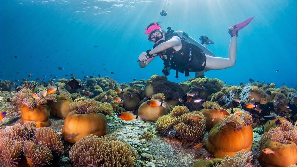 Scuba diving over anemones at the Coral Garden dive site in Tulamben, Bali