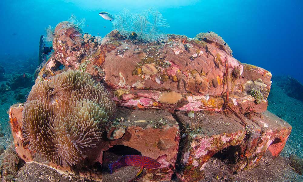 Coral Garden dive site in Tulamben Bali 