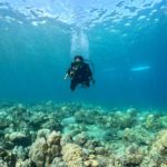 Scuba diving at Emerald Dive site in Tulamben Bali