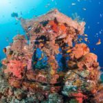 Artificial reef at Tulamben, Bali scuba diving site