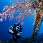 Diving at Tulamben USAT Liberty Wreck dive site in Bali