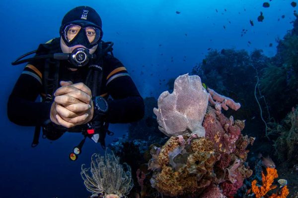Diving in Tulamben: The Ultimate Guide