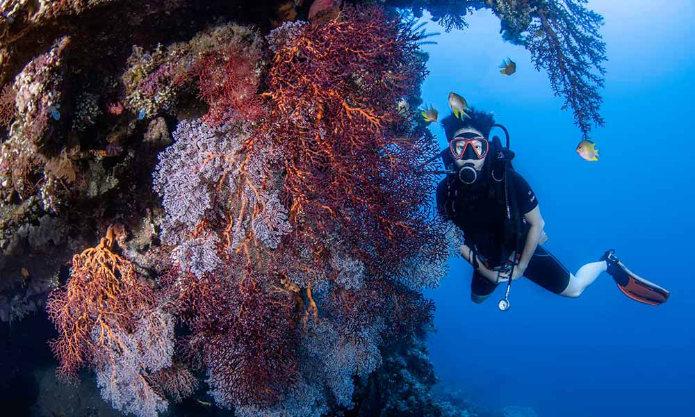 Scuba diving next to colorful corals in Tulamben, Bali