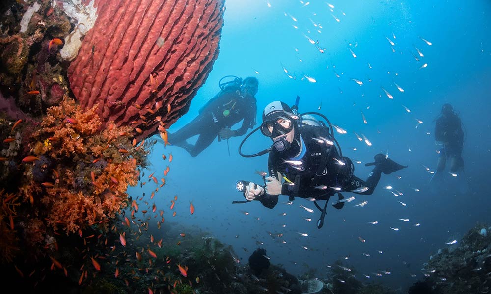 Scuba diving next to a barrel sponge and fish on a coral reef in Indonesia