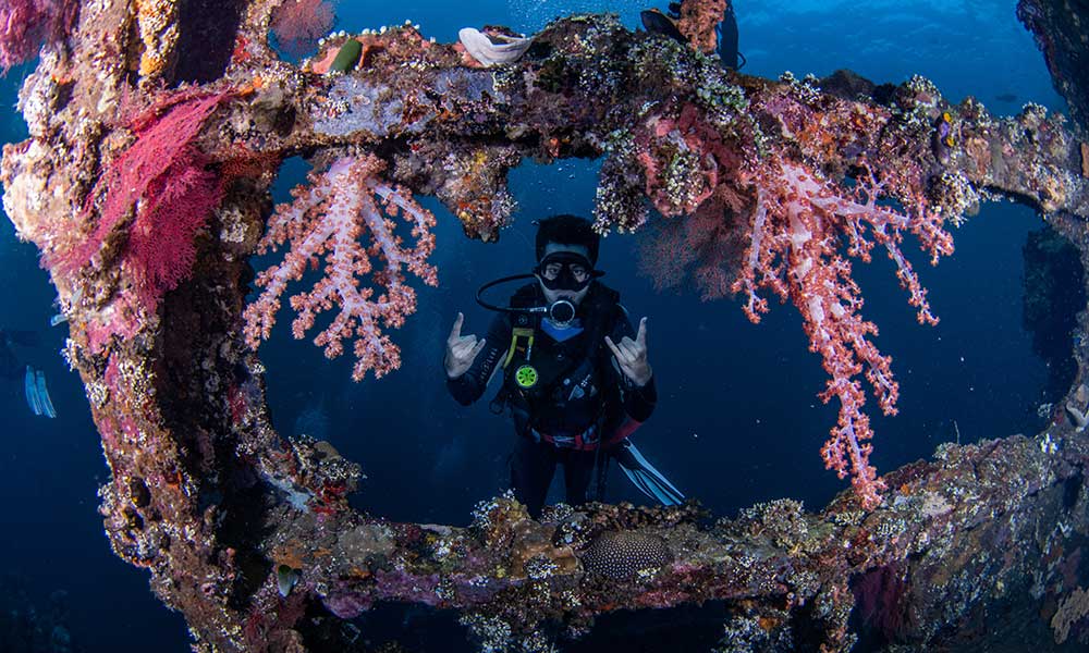 A scuba diver poses by a section of the Liberty Wreck in Tulamben, Bali where soft corals are hanging from the ship.